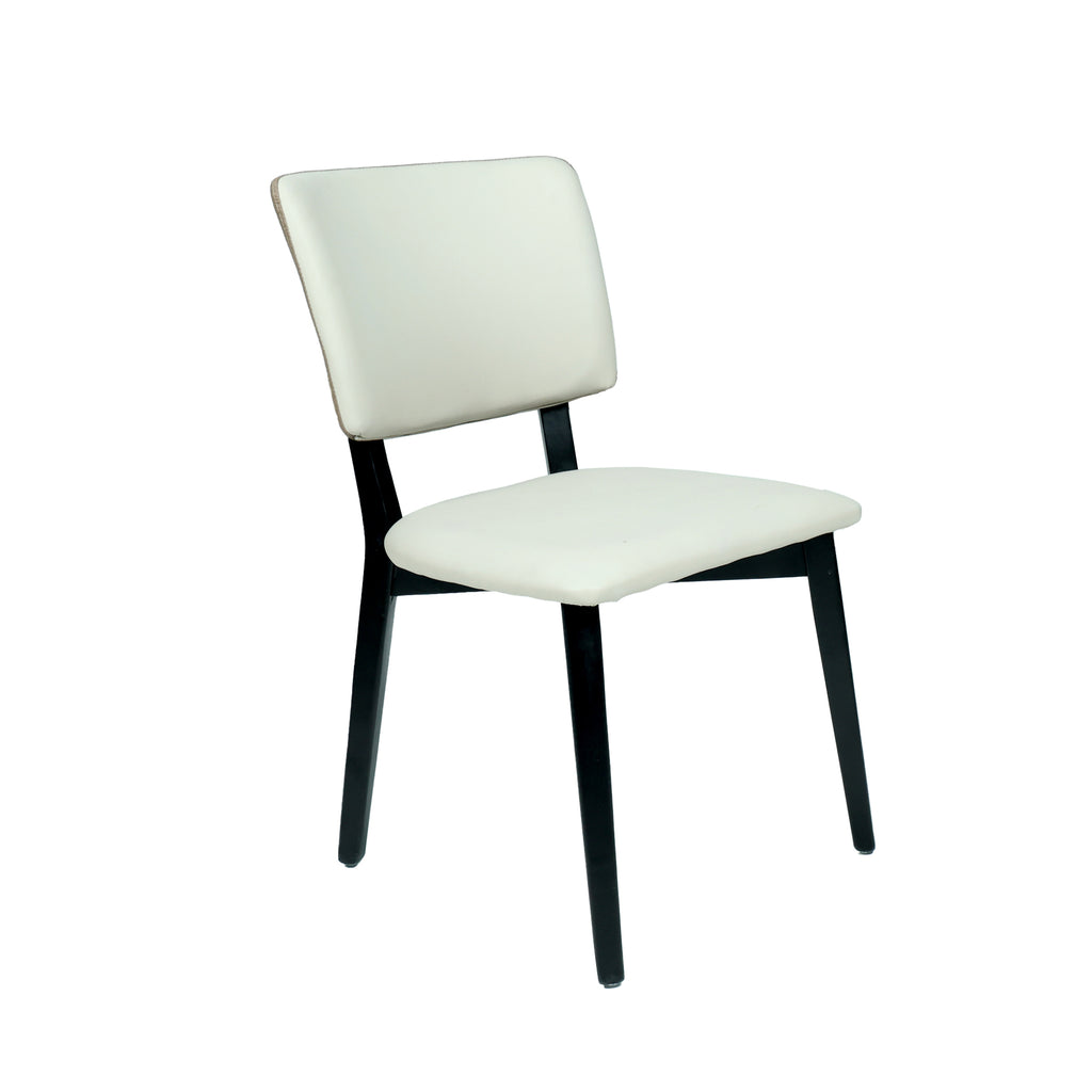 ABS Dinning Chair  IC-DC-039