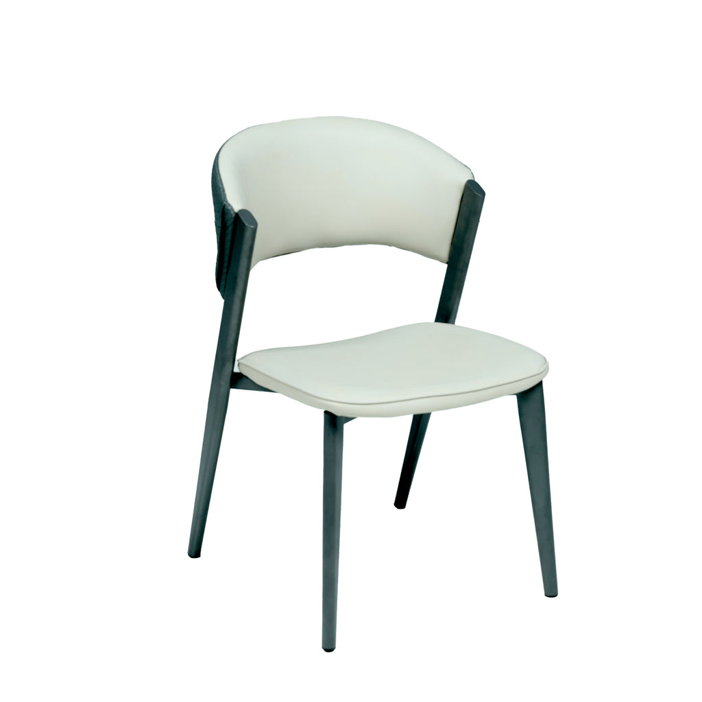 ABS Dinning Chair IC-DC-015