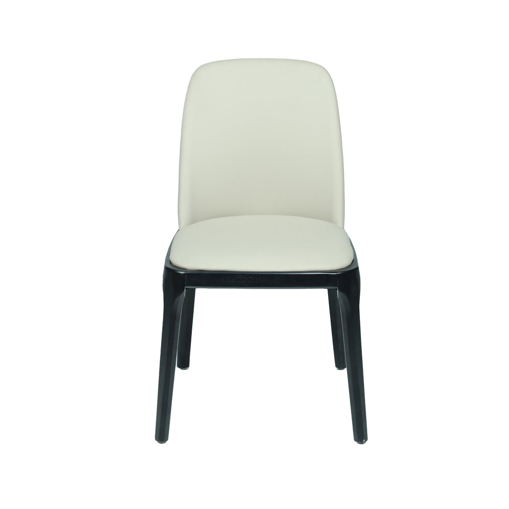 ABS Dinning Chair  IC-DC-045